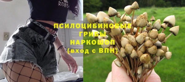 каннабис Алзамай