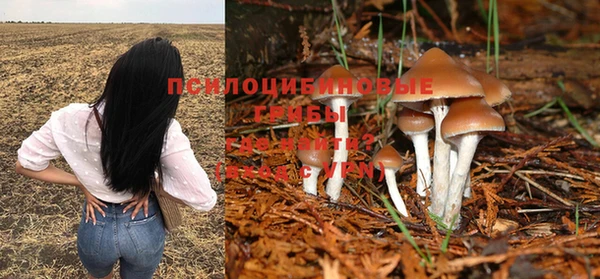 каннабис Алзамай