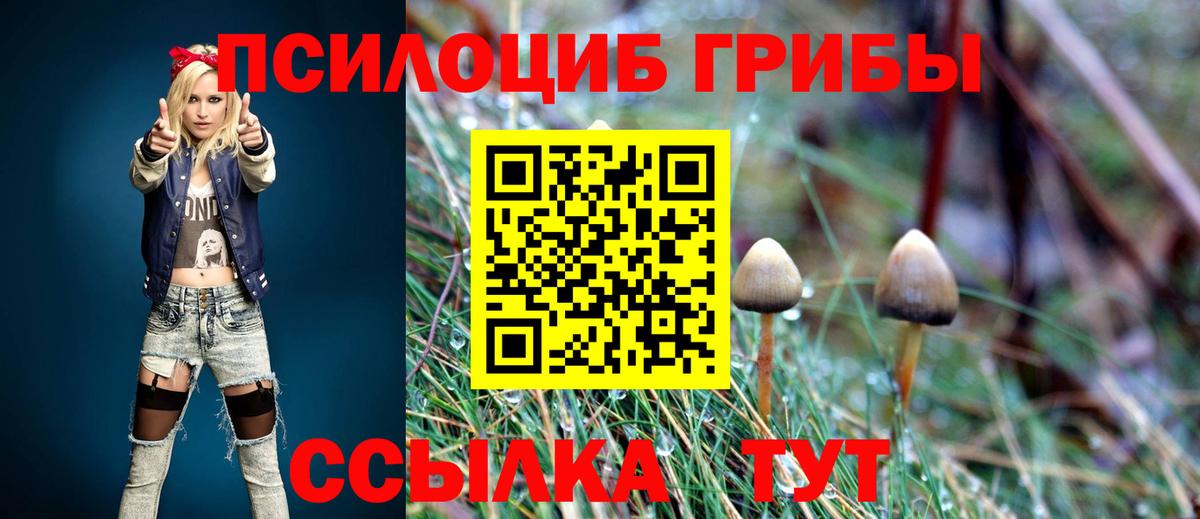 Галлюциногенные грибы Psilocybe  Вход с VPN  Удомля  Галлюциногенные грибы MAGIC MUSHROOMS 